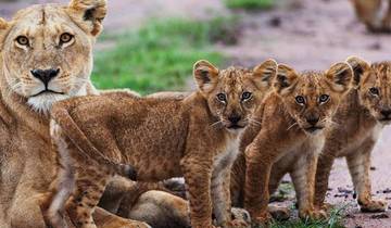 9 Day Tanzania Exclusive Holiday