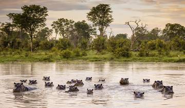 Botswana & Simbabwe intensiv Rundreise
