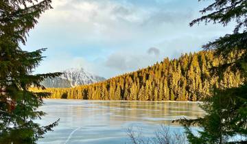 Croisière remarquable dans les Rocheuses et le Passage intérieur de l'Alaska
