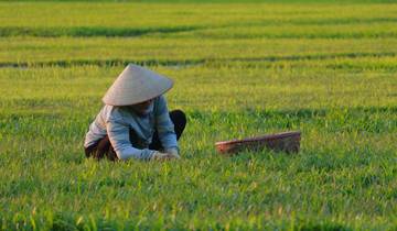 Vietnam Plezier voor het hele gezin - 9 dagen