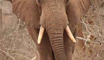 7 jours d'escapade nature et faune dans le sud de la Tanzanie