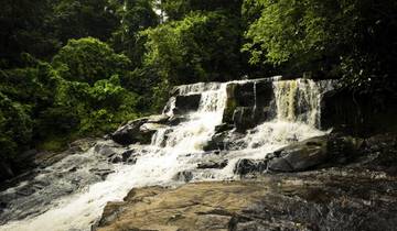 Liberia Coastal Heritage & Wildlife Escape 7 Days / 6 Nights
