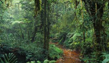 Liberia Luxury Beach & Surf Retreat 6 Days / 5 Nights