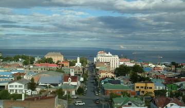 Punta Arenas, Chile: Penguins, Whales & Glaciers Tour