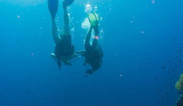 Bangkok naar Koh Tao duikavontuur - 13 dagen-rondreis