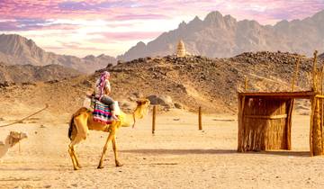 Discover Ancient Worlds: The Mediterranean & Red Sea Tour