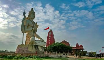 Explore Gujarat: Sacred Sites, Wildlife & Heritage Tour