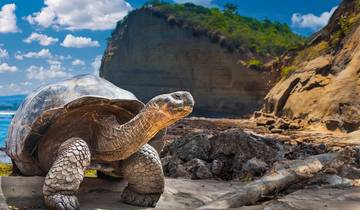 Ecuador und Galápagos - ein Land voller Wunder Rundreise
