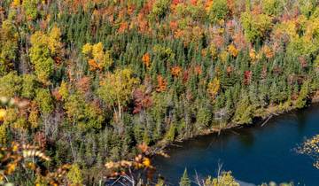 L\'automne sur le sentier de randonnée du lac Supérieur (réservé aux femmes) circuit