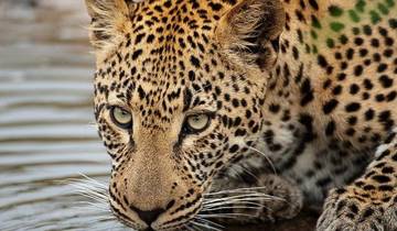 7 Days Budget Kruger, Victoria Falls & Chobe Safari