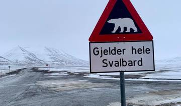 Descubre el Ártico: Spitsbergen, donde reinan el hielo y la luz