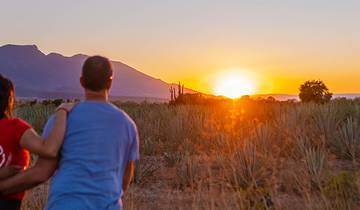 Premium Mexique en profondeur (16 destinations)