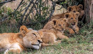 Premium Kenya & Tanzania (13 destinations)