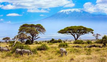 Safari en Tanzania con el Serengeti - Grupo reducido (Grupos reducidos, con Zanzíbar)