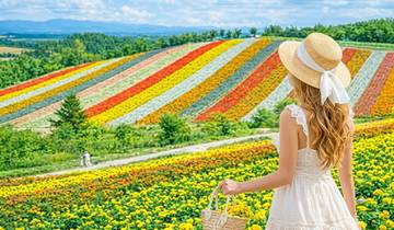 10-tägige Sommerreise durch Ost-Hokkaido (mit privatem Reiseleiter, keine Gruppenreise) – Familienreise, individuell anpassbar