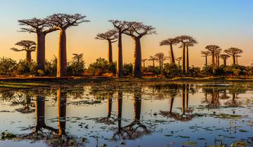 Tanzanie : Panorama – de Lushoto à Saadani circuit