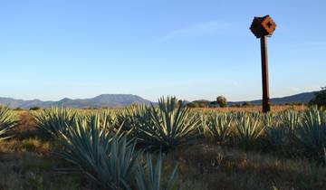Mezcal-Tour durch Mexiko: Entdecken Sie Atlixco sowie regionale Speisen und Getränke Rundreise