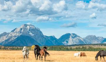 Circuito Yellowstone y la región de Big Sky
