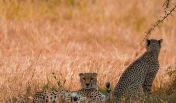 7 Days Luxury Lodge Safari Tour