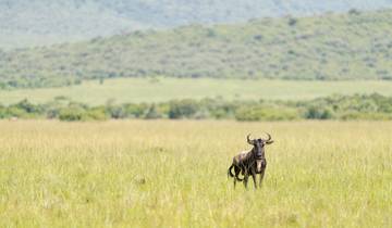 10 Days Tanzania Safari Adventure