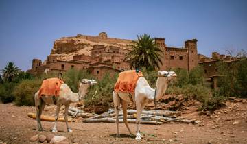Vanuit Agadir: 6-daagse privéreis door de Sahara: Erg Chigaga & Marrakesh-rondreis