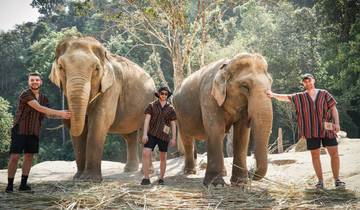 Treasures of Siam: Bangkok & Chiang Mai 9 Days 8 Nights Tour