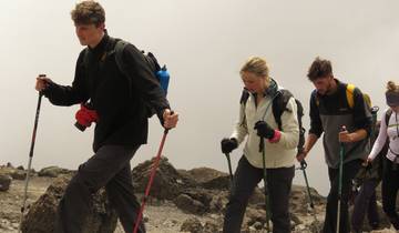 7 Days Lemosho Route Kilimanjaro Climb Tour