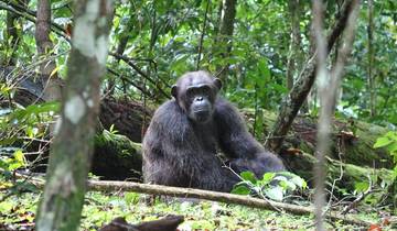 São Tomé Escape: 9-Day Tropical Island Discovery