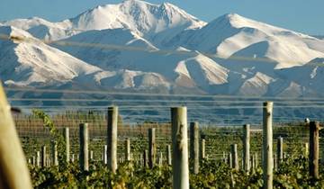 Mendoza: Best Wines in the Andes Tour