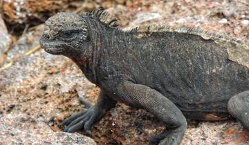 Équateur, îles Galápagos et Pérou - Aventure entre femmes circuit