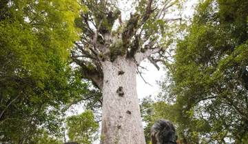 Aventure dans le Northland circuit