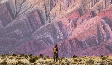 Argentine et Bolivie : salines et désert circuit