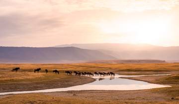 Het beste van Kenia en Tanzania 35 tot 45 (chalet)-rondreis