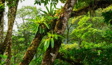 Costa Rica Family Journey: From Cloud Forests to the Beach National Geographic Tour