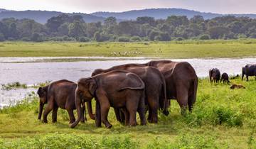 Sri Lanka Wildlife Explorer – 4 Tage Rundreise