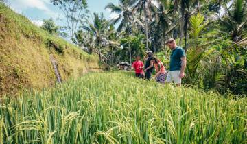 Best of Indonesia