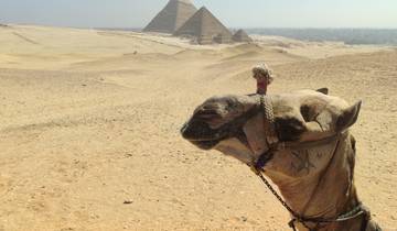 Avontuur in Egypte: Duik in de Rode Zee en de oude cultuur!-rondreis