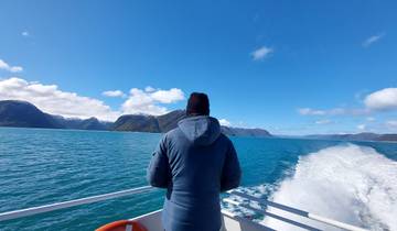 Bergen to Oslo: Norway's Most Scenic Journeys