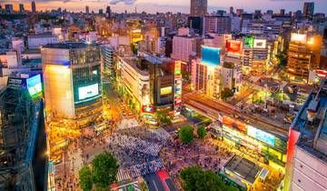 Tokyo, Mount Fuji, Kyoto and Nagasaki (12 destinations) Tour
