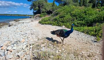 The Beauties of Istria