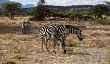 Exquisite 3 Days Masai Mara Air  Safari Tour