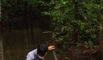 Puerto Maldonado: Amazon Eco-Lodge Claylick, 4 días/3 noches