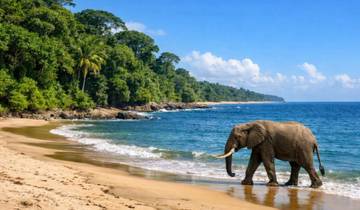 Safari por la fauna de Gabón: el mejor recorrido de 10 días por la selva tropical y la fauna salvaje