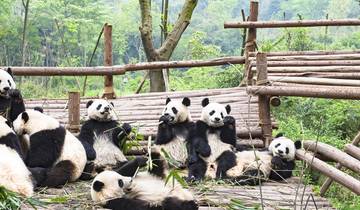 Von den antiken Weltwundern Chinas bis zu den Riesenpandas: Peking, Xi’an und Chengdu – 9 Tage Rundreise