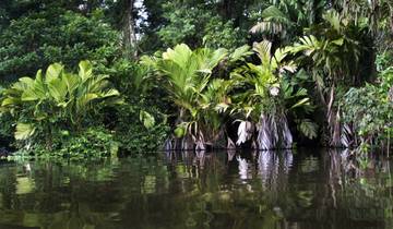 Het beste van Costa Rica – 8 dagen