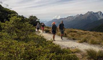 Les incontournables de l\'île du Sud : une aventure circuit