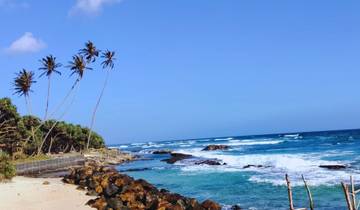 Sri Lankan Grand Passage Tour