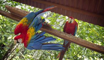51 Day South America Itinerary, incl. Lima and Rio de Janeiro