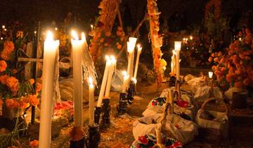 Mexico City: Day of the Dead Comfort Tour