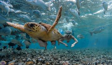 33 Days in Central America, incl. Mexico and Costa Rica